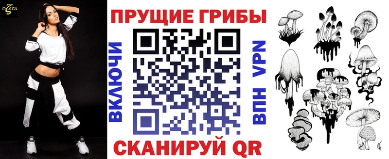 мега зеркало  Бердск  Псилоцибиновые грибы прущие грибы 