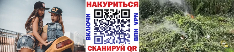 закладка  ОМГ ОМГ вход  Конопля план  Бердск 